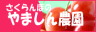 やましん農園